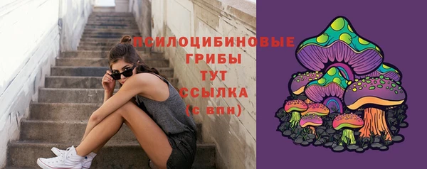 стафф Медвежьегорск