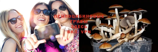 ECSTASY Медногорск