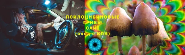 стафф Мегион