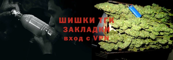 ECSTASY Медногорск