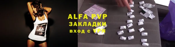 ECSTASY Медногорск