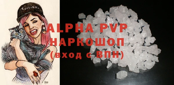 стафф Медвежьегорск