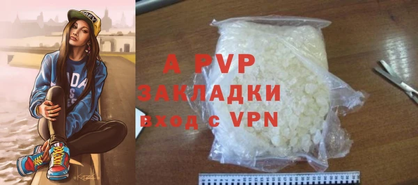 стафф Медвежьегорск